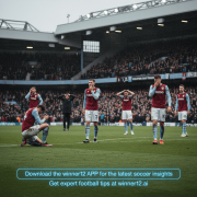 <strong>共同过多导致进攻</strong>