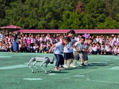 全省教育系统无视